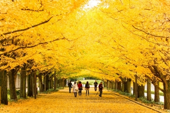 Seoul - Nami -Jeju - Everland