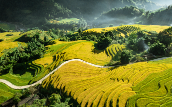 Mùa vàng tĩnh lặng ở Sa Pa